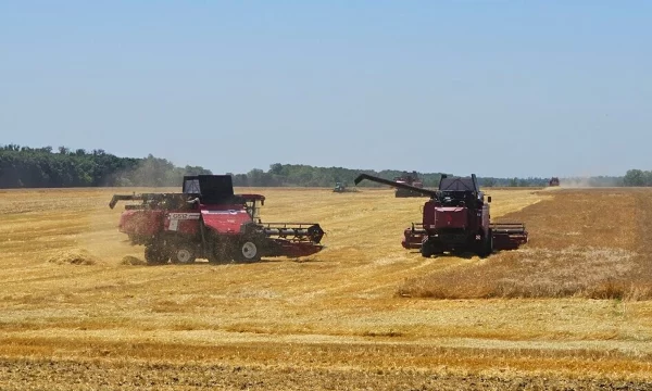 Аграрии Краснодарского края приступили к уборке озимой пшеницы