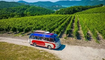 Эногастрономический фестиваль «Черноморская винная неделя» в 2023 году
