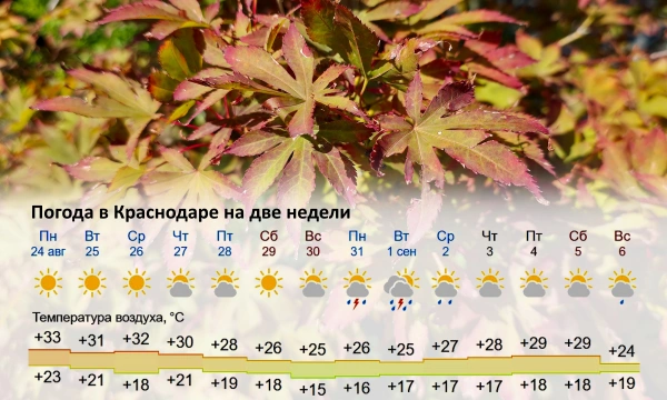 Прогноз погоды в Краснодаре на две недели с 24 августа по 6 сентября 2026 года Прогноз погоды в Краснодаре на две недели с 24 августа по 6 сентября 2026 года